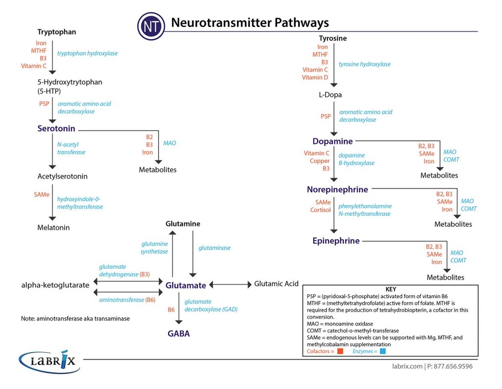 Brain Health & Chemistry Brain Health & Chemistry